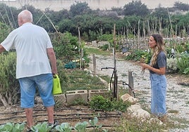 Uno de los huertos ecológicos municipales de Elda.