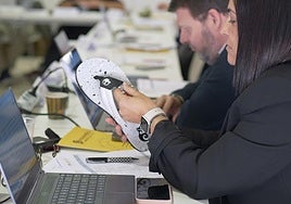 Uno de los proyectos premiados por Maratón UMH