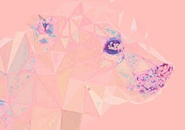 Cartel de 'El Oso', que este fin de semana se presenta en el Arniches.