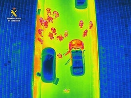 Cámara de visión térmica en la zona de la plantación.