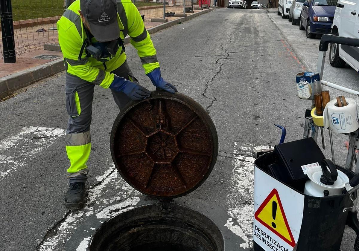 Trabajos de desratización en San Blas.