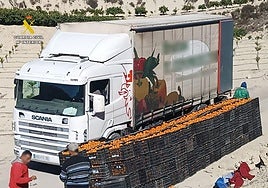 Cargamento de mandarinas decomisadas en la 'Operación Mago 24'.
