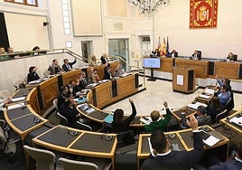 Pleno de la Diputación de Alicante.