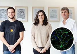 Investigadores involucrados en el proyecto.