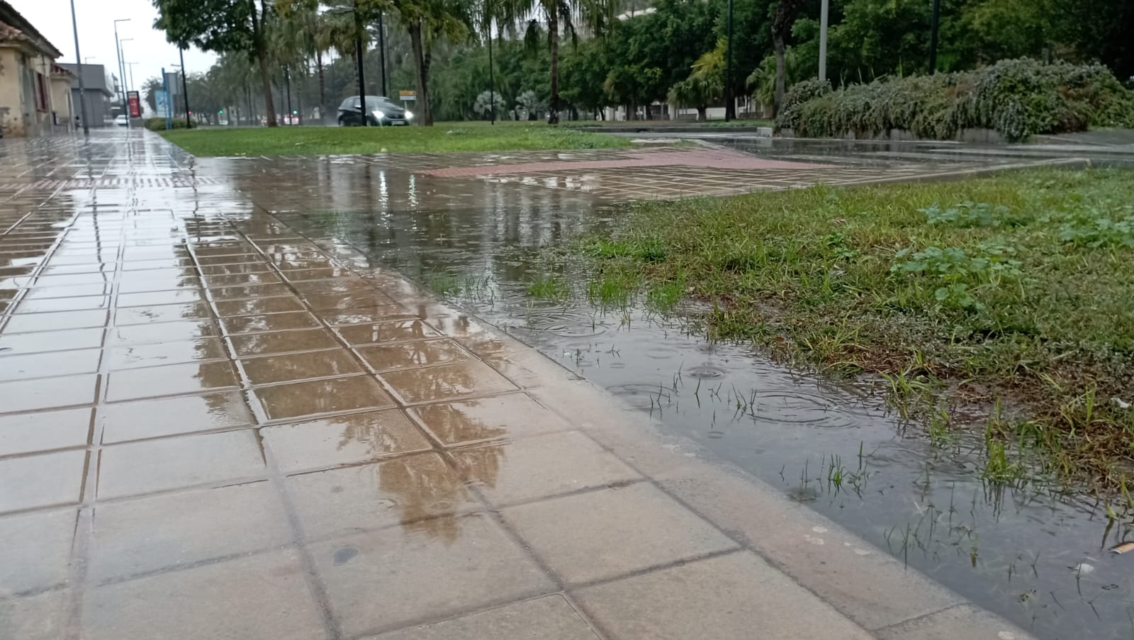 Lluvia sobre las calles de Alicante.