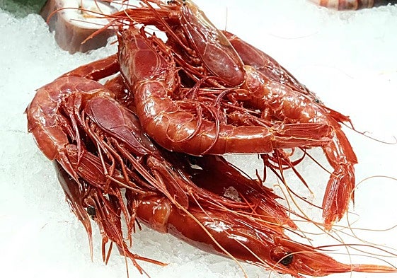 Gamba Roja en la lonja.