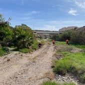 Alicante limpia dos veces al año los barrancos para prevenir inundaciones