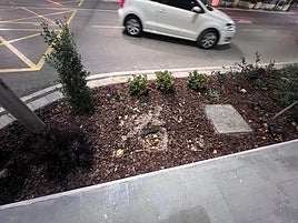 Jardinera vandalizada.