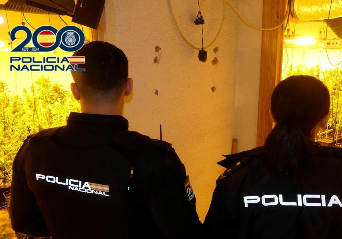 Agentes de la Policía Nacional en la plantación 'indoor' de marihuana.