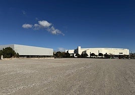 Solar despejado para la creación del nuevo aparcamiento junto a la Facultad de Educación de la UA, en San Vicente.