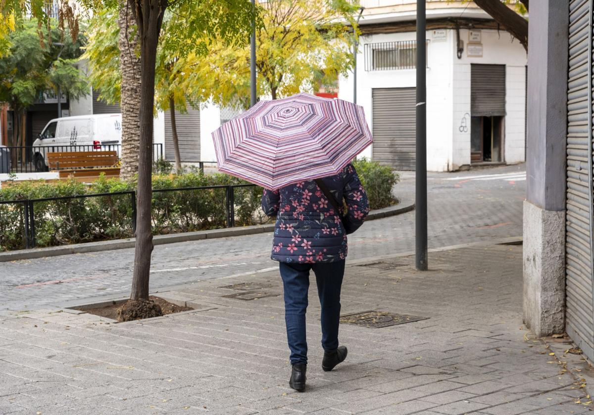 Una mujer pasea con un paraguas por el barrio de Carolinas.