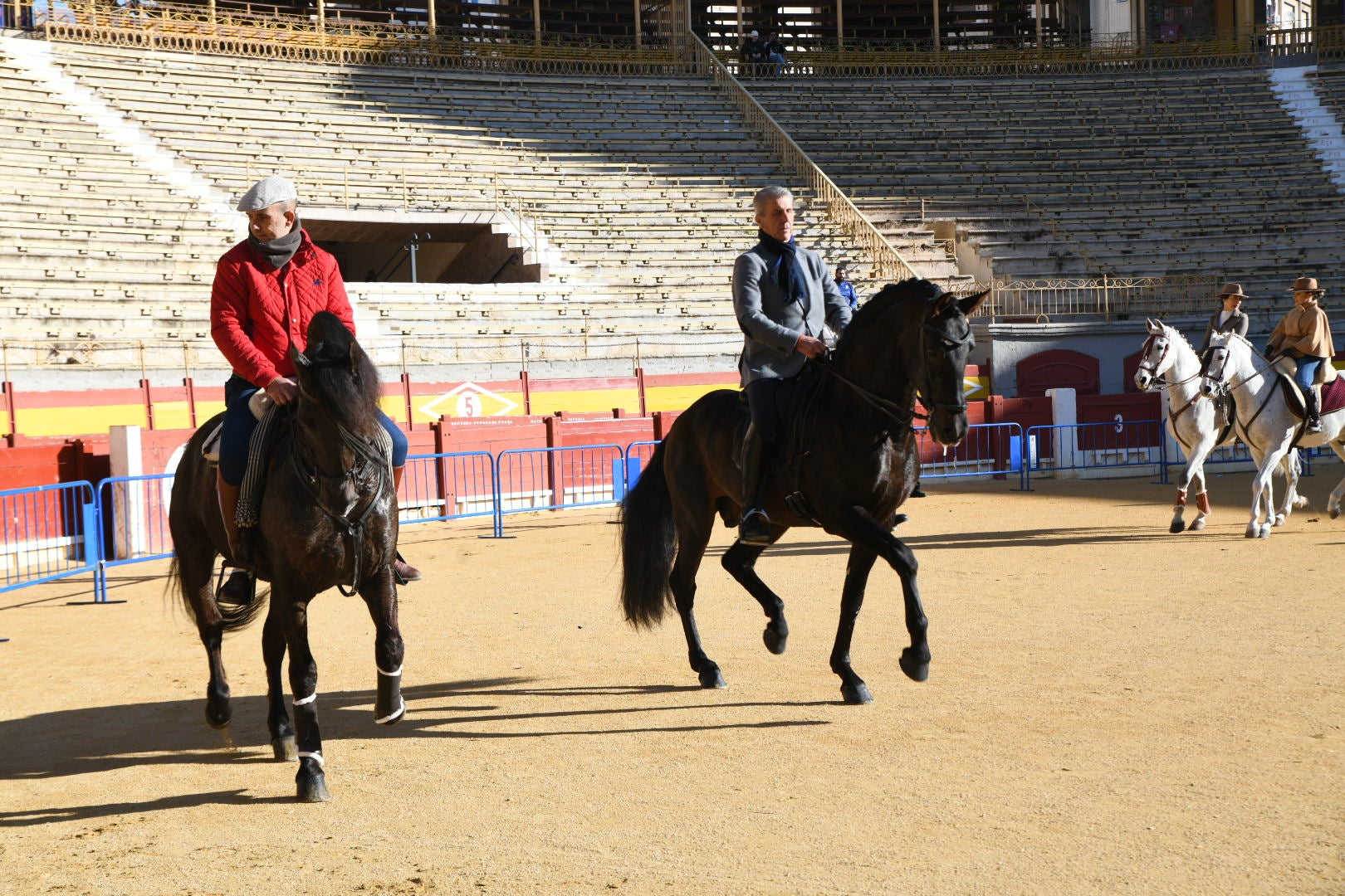 Bendición de animales en Alicante por San Antón, busca las fotos de tu mascota