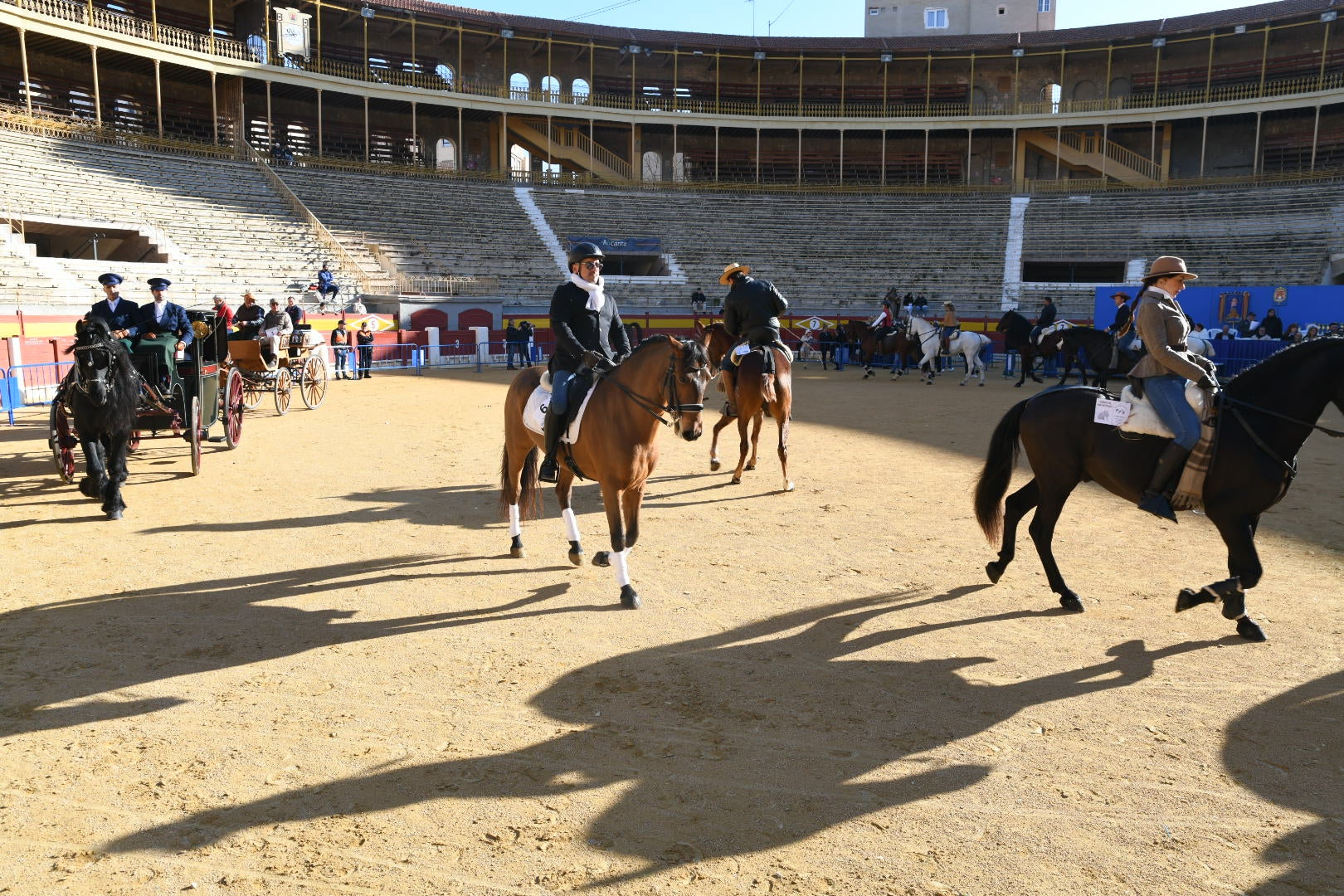 Bendición de animales en Alicante por San Antón, busca las fotos de tu mascota