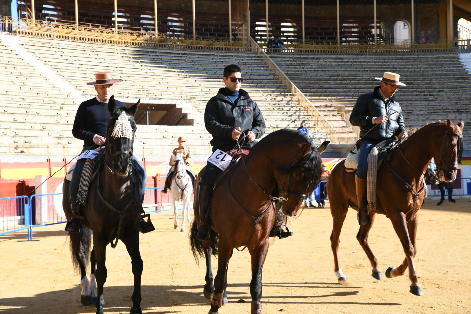 Bendición de animales en Alicante por San Antón, busca las fotos de tu mascota