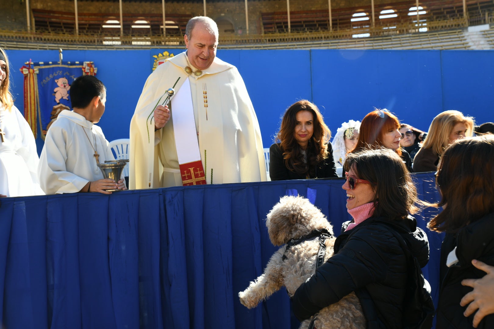 Bendición de animales en Alicante por San Antón, busca las fotos de tu mascota