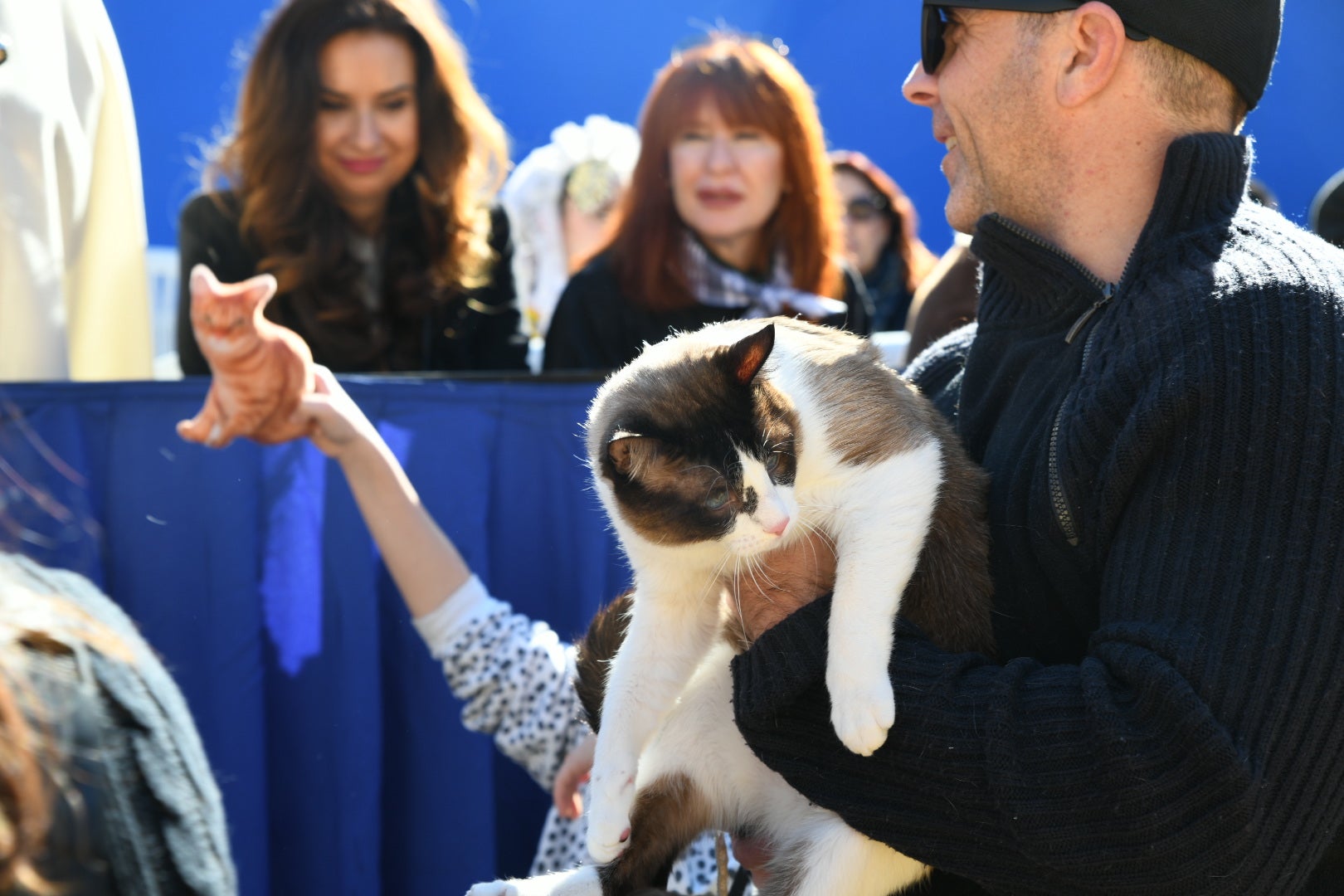 Bendición de animales en Alicante por San Antón, busca las fotos de tu mascota