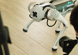 Muestra del trabajo de la empresa Bumerania Robotics.