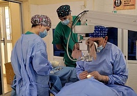 Sanitarios de ACCI en plena intervención de cataratas en Gambia.