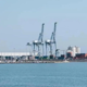 Imagen principal - El Ayuntamiento de Alicante lleva el caso de los macrodepósitos del puerto al Tribunal Constitucional