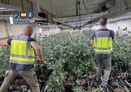 Imágenes de la operación que ha desarticulado la red criminal.