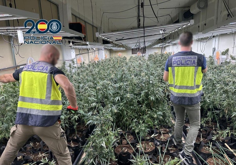 Images from the operation that dismantled the criminal network.