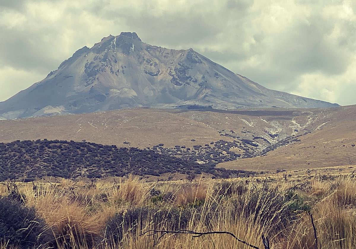 Imagen de bosque de Polylepis (vegetación oscura) de la zona afectada por el incendio de Pichu Pichu acontecido en septiembre de 2018.