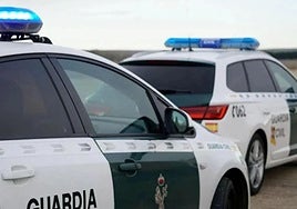 Vehículos oficiales de la Guardia Civil.