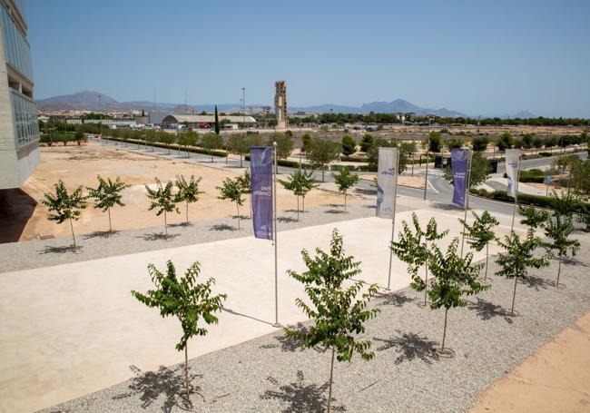 Terrenos del campus oeste de la UA.