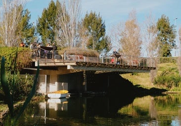 A walk through the ponds of La Marjal in Alicante