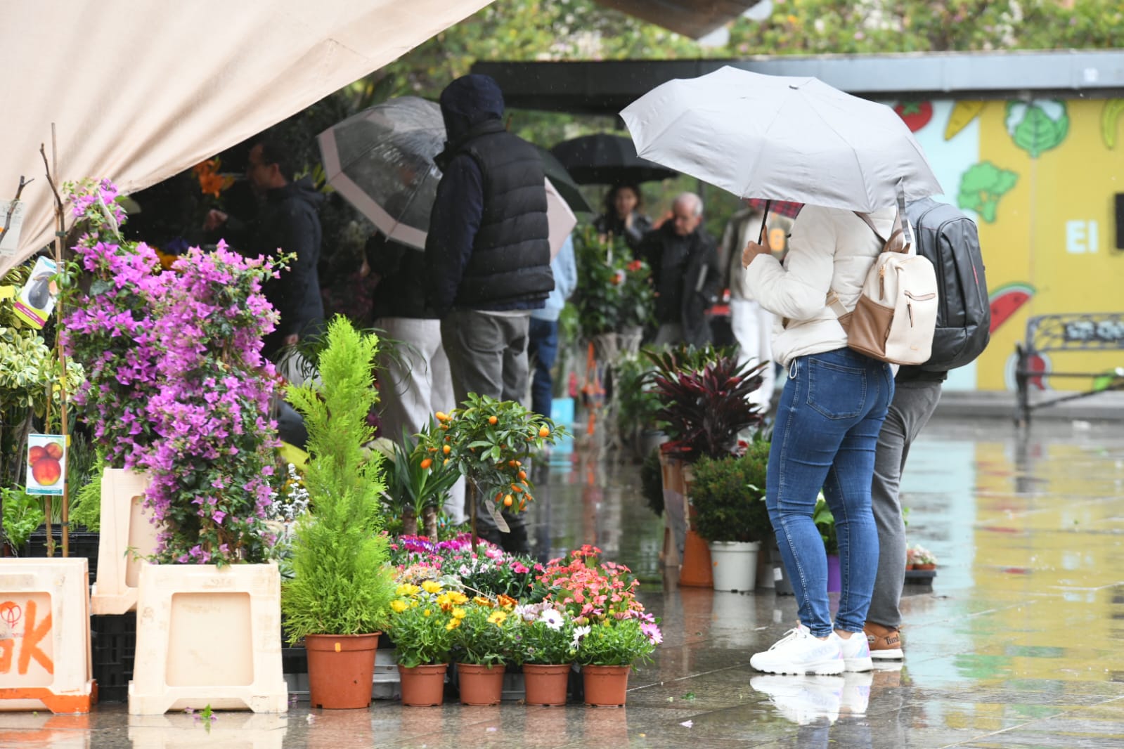 El viento y la lluvia protagonizan la jornada comercial del carnaval en Alicante