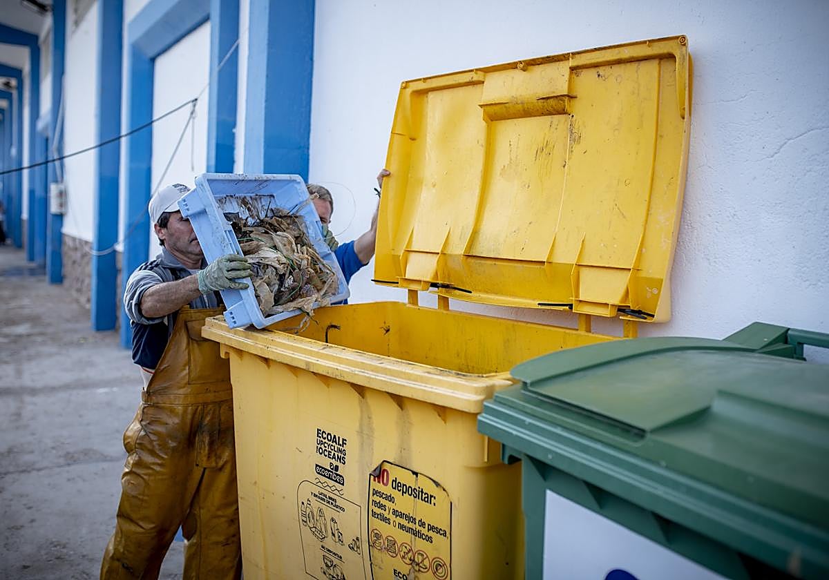 Las cofradías pesqueras también están involucradas en el desarrollo del proyecto.