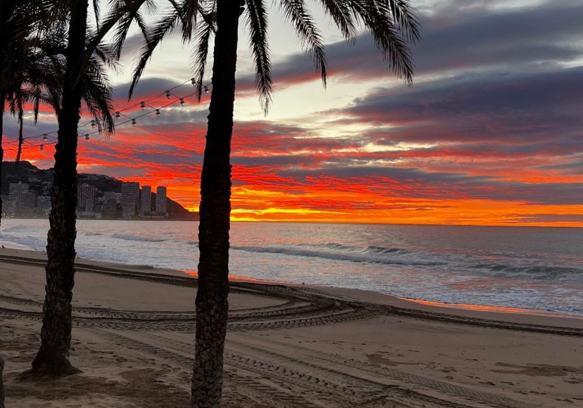 Imagen de la playa de Poniente de Benidorm
