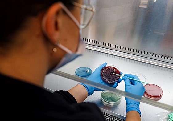 Isabial ha reonvado su acreditación como Instituto de Investigación Sanitaria.