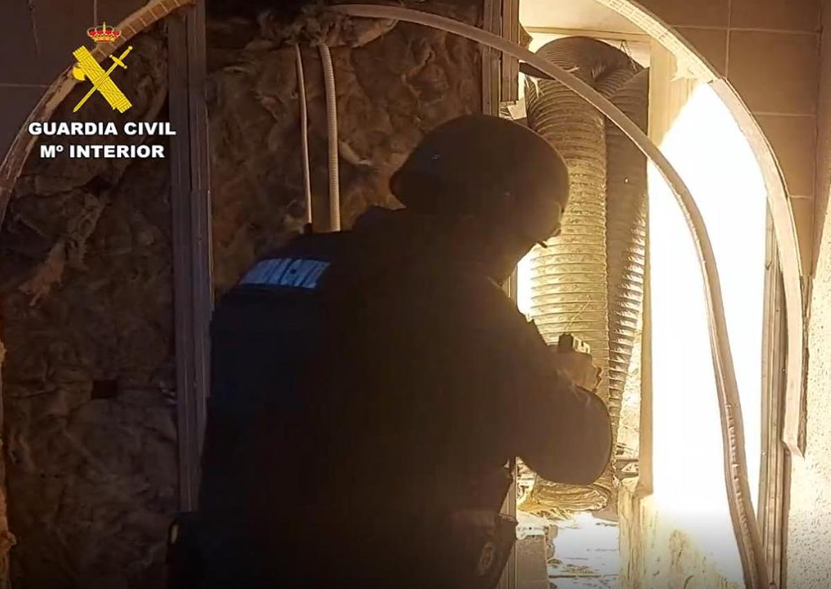 Imagen secundaria 1 - Agentes desmantelan un paraíso de la marihuana en un pueblo de Alicante.