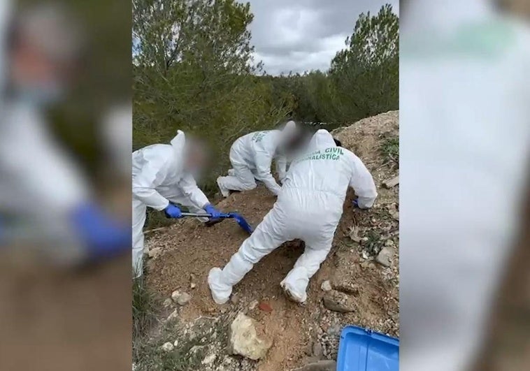 Labores de búsqueda del cadaver.