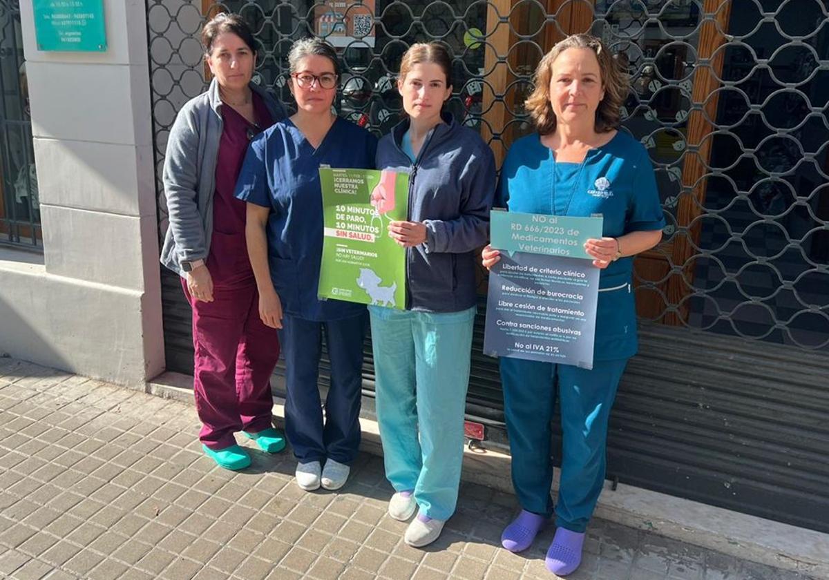 Veterinarians in Alicante to Stage Another Walkout This Wednesday