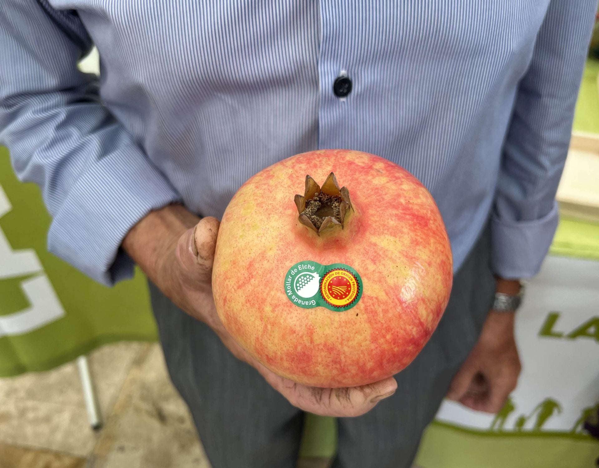 Registration Opens for Elche's Mollar Pomegranate PDO