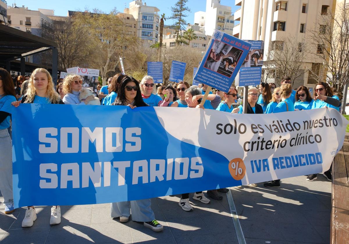 Veterinarians in Alicante on Alert: &quot;If we don&#039;t monitor animal diseases, they will get out of control&quot;