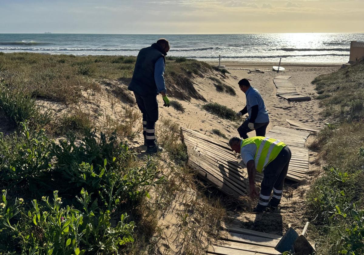 Trabajos de adecuación en los arenales de Elche.