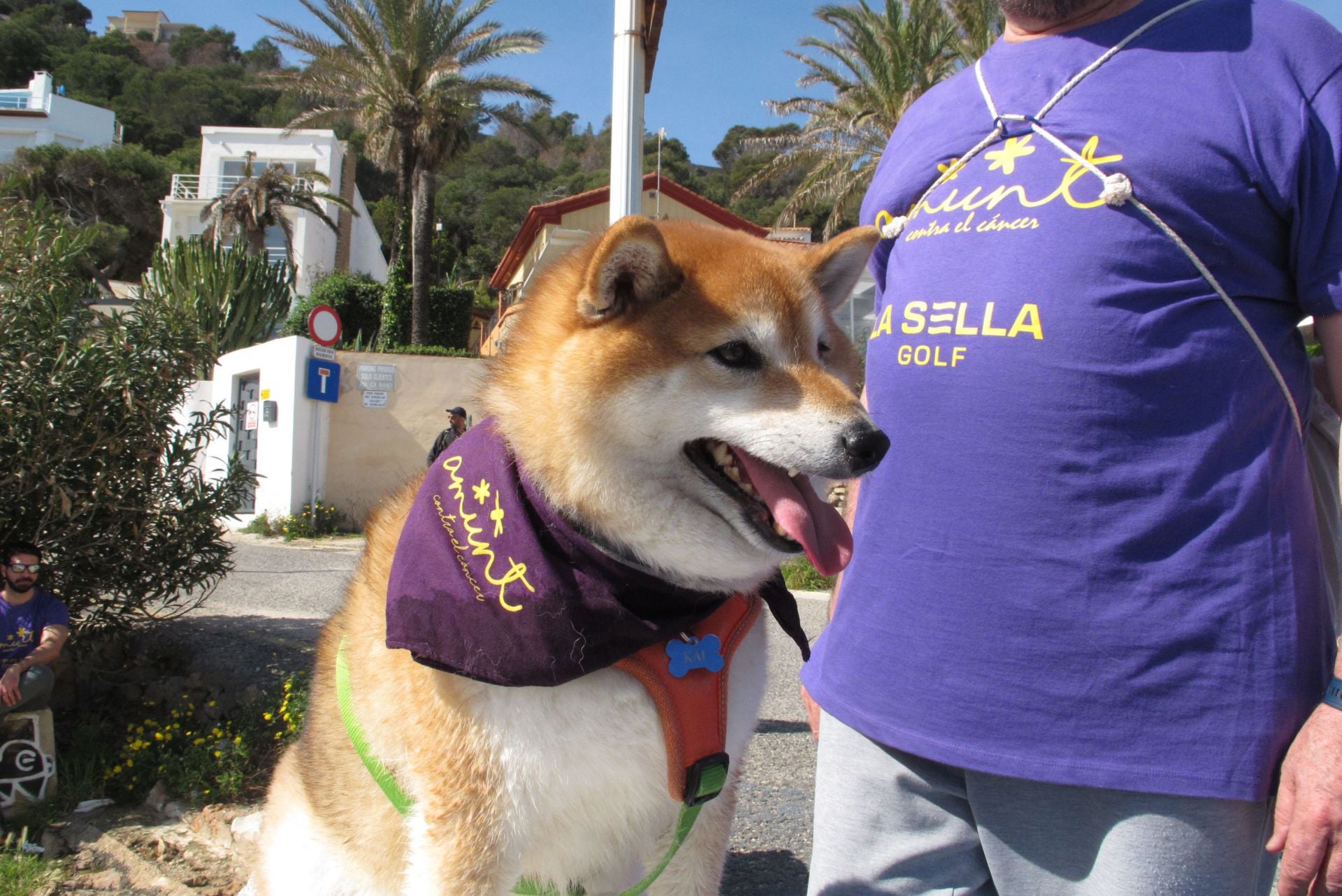 Cientos de personas salen a la calle en Dénia por la lucha contra el cáncer