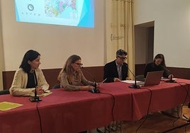 Presentación de los estudios.