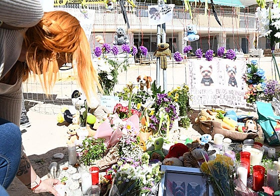 Concentración en repulsa al asesinato de dos perros en Alicante.