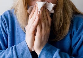 El aumento de los niveles de polen en primavera está asociado a síntomas de rinitis alérgica, como estornudos, picazón en los ojos, congestión nasal y dificultad para respirar.