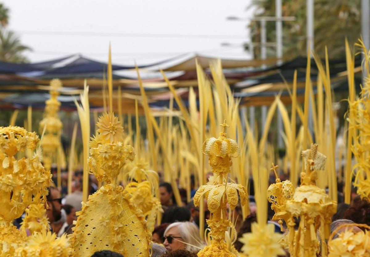 À Punt Begins Holy Week with Elche's Palm Procession This Sunday