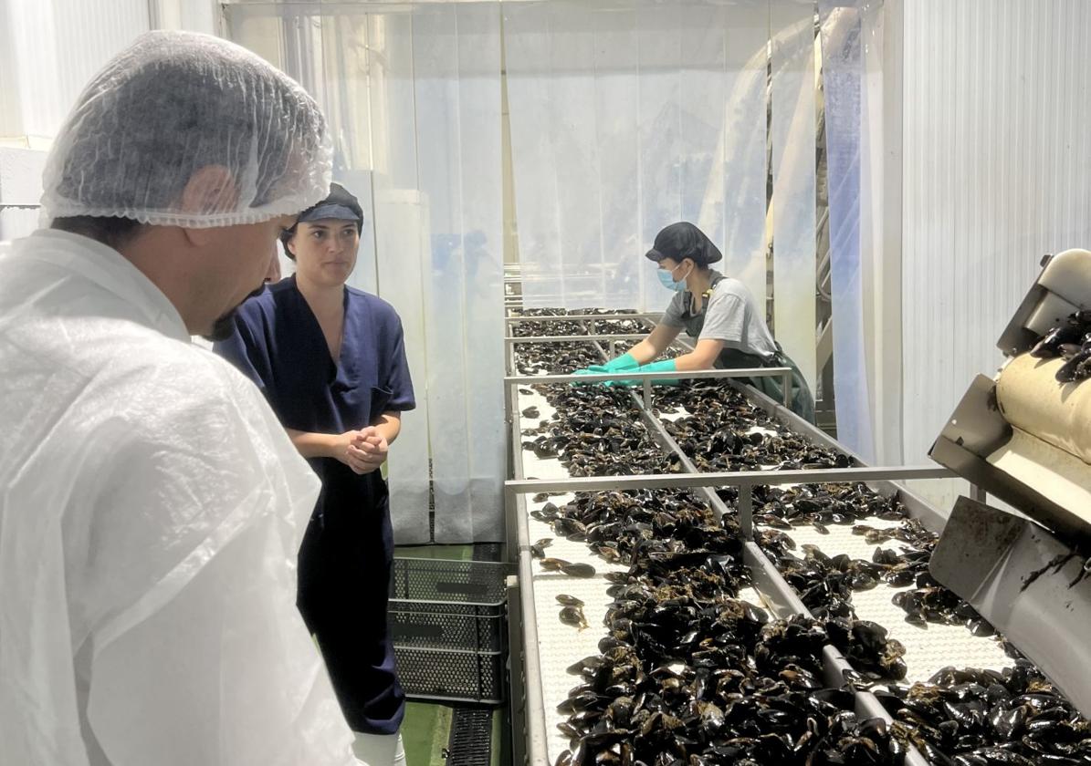 A Second Life for Mussels: From Marine Waste to Valuable Agricultural Product
