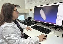 Stéphanie Torrijo, investigadora principal del estudio, en el laboratorio con una imagen de un piñón ibérico en la pantalla..