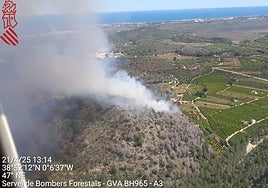 Incendio forestal en Pego.