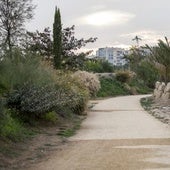 Paseo por el Parque del Mar, en Alicante Sur.