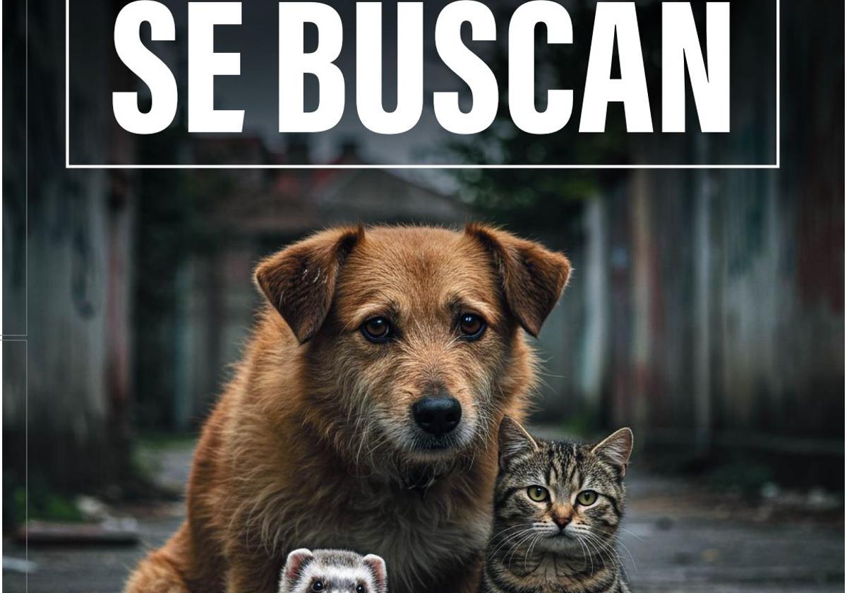 Campaign poster.