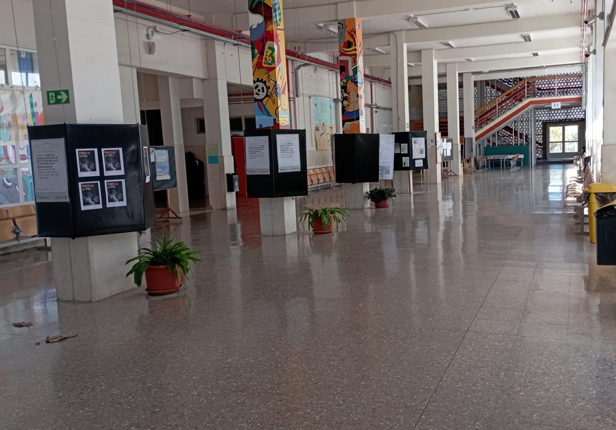 Colegios y universidades de Alicante suspenden su actividad lectiva para este martes